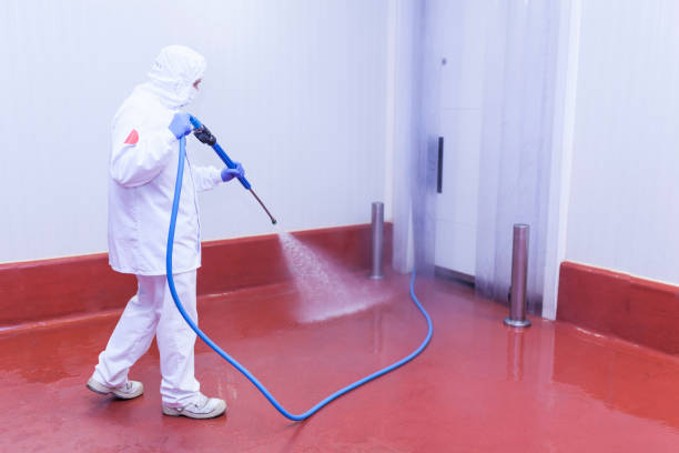 Best Playground Equipment Cleaning  in Sour Lake, TX